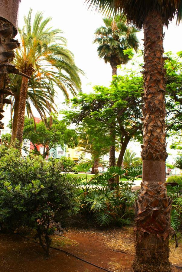 Doranda Rooms Las Canteras Las Palmas de Gran Canárias Exterior foto